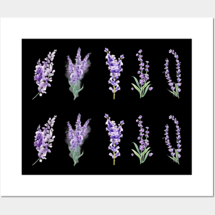lavender Posters and Art